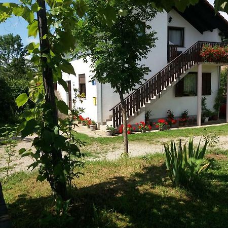 Apartment Manda Раковица Екстериор снимка