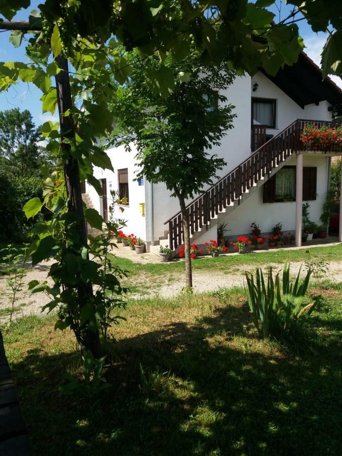 Apartment Manda Раковица Екстериор снимка